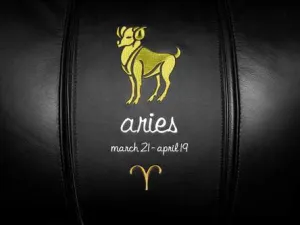 Aries Yellow Logo Panel